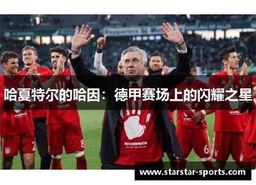 哈夏特尔的哈因：德甲赛场上的闪耀之星